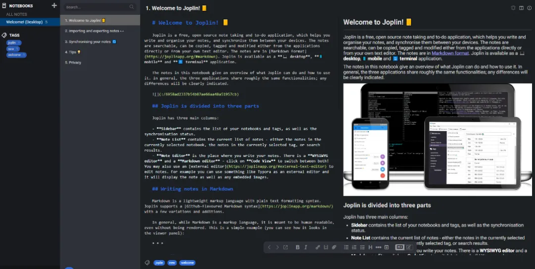 joplin11.webp